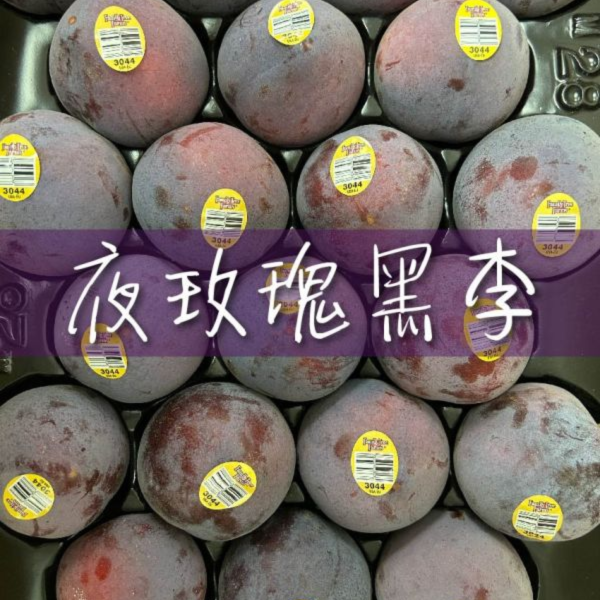 【加州極品綜合李】星爆李x恐龍蛋x夜玫瑰 