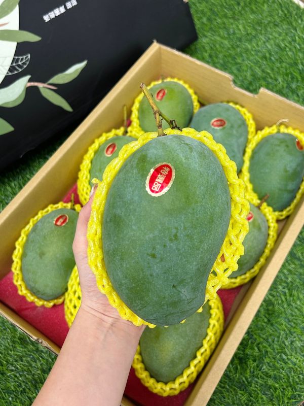 <少量零購>黑香芒果 