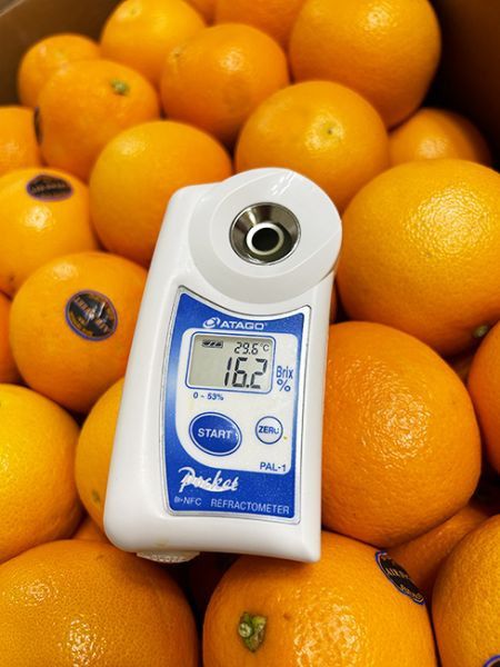 <少量零購>美國無籽超多汁肚臍橙 