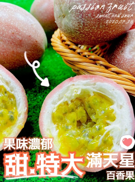 <當日配送>滿天星百香果 