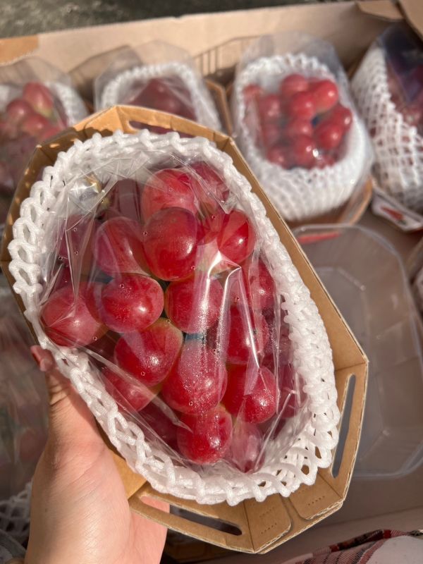 <少量零購>韓國紅麝香葡萄 