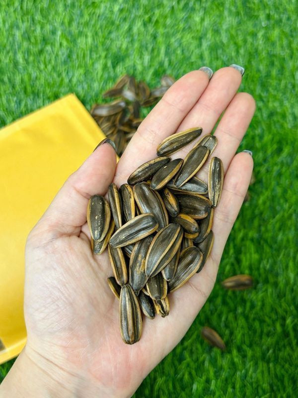 <贈品>蒸烹食水煮葵瓜子1包 