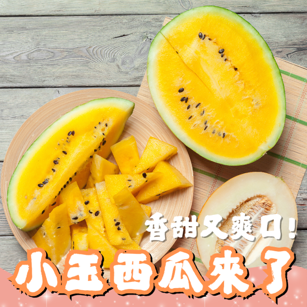 小玉西瓜 