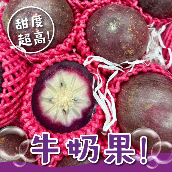 國產牛奶果 