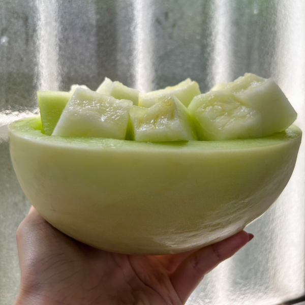 美國皇冠蜜糖哈蜜瓜 