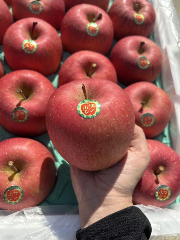 <少量零購>青森蜜富士套袋蘋果 