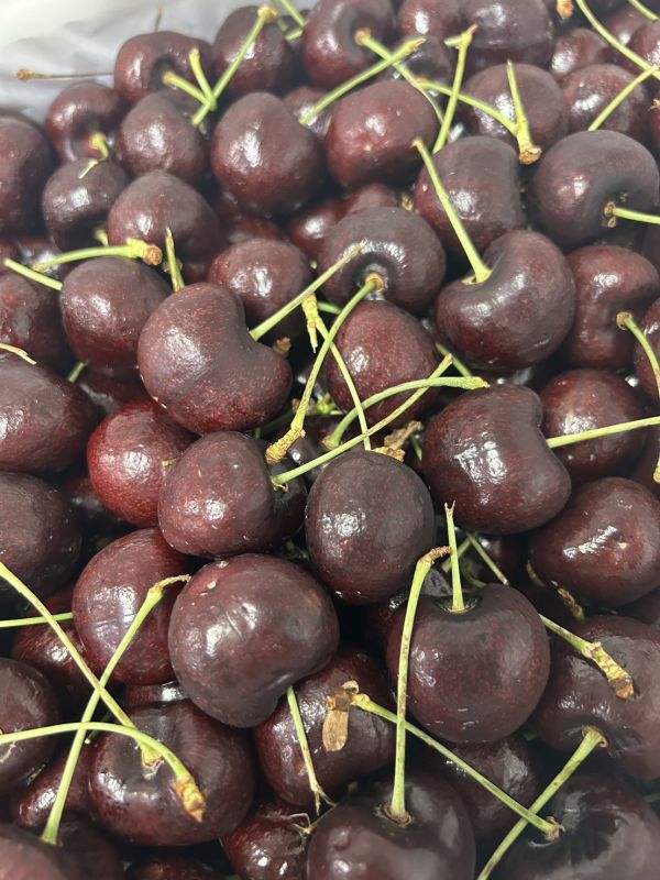 華盛頓櫻桃【8.5R大果】 