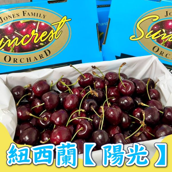 紐西蘭陽光櫻桃【30mm】 