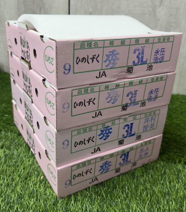 菊池小糖蜜草莓 