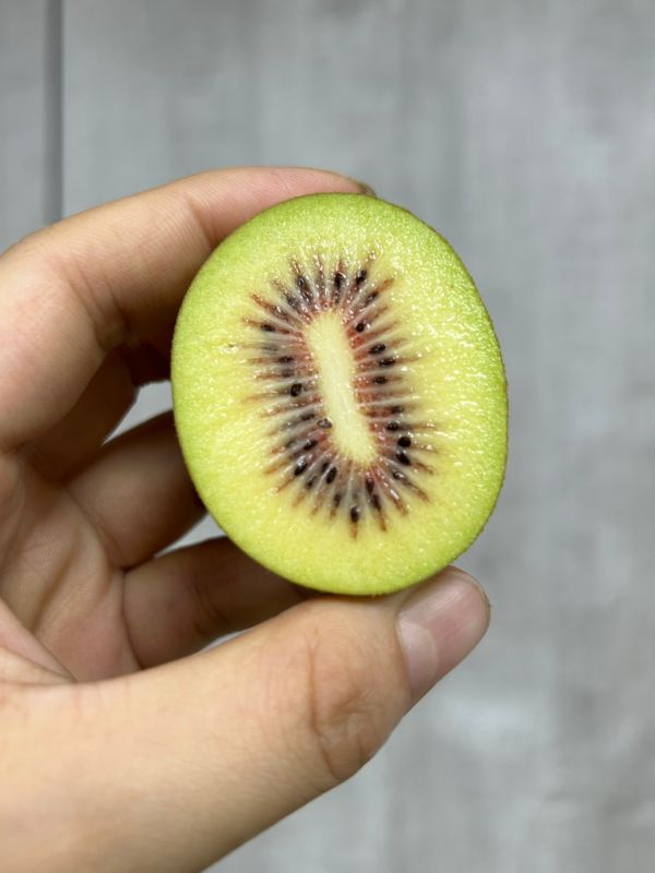 美國紅心奇異果 