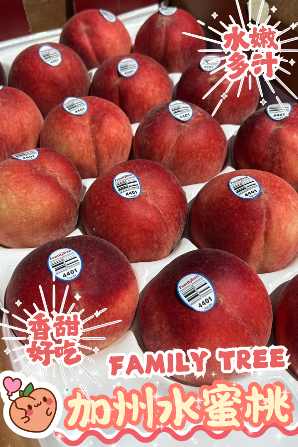 【巨無霸大顆】Family Tree加州水蜜桃(15/16品規) 