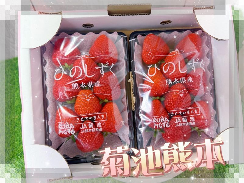 菊池小糖蜜草莓 