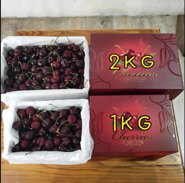 大果智利櫻桃【30mm】 