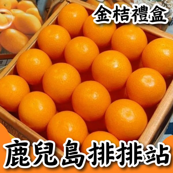 鹿兒島<排排站>金桔禮盒 