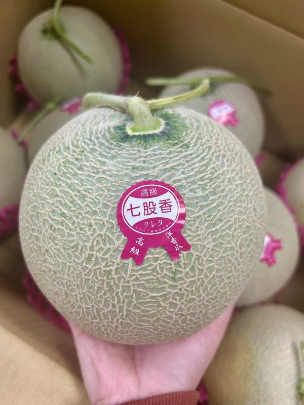 七股香紅肉哈密瓜 