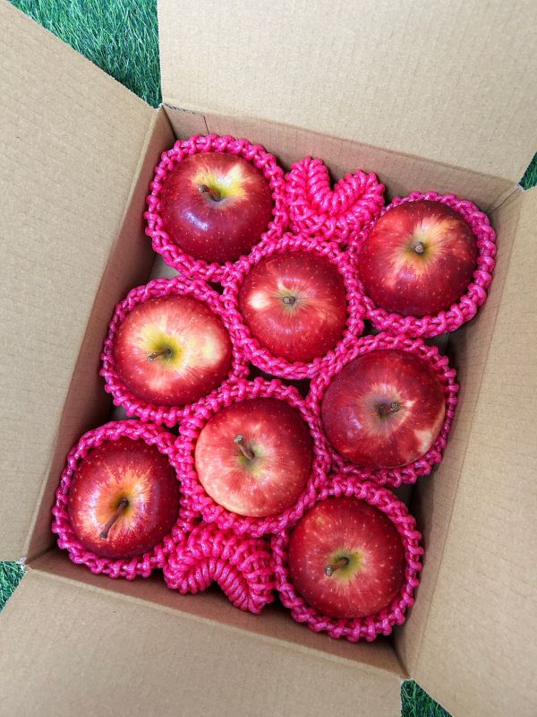 紐西蘭【Dazzel閃耀】脆甜蘋果 