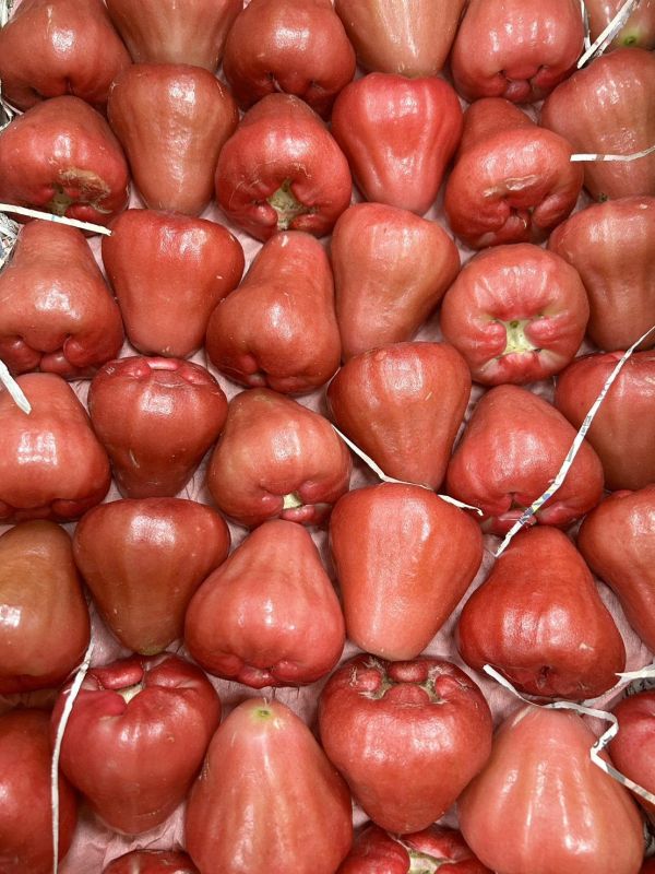 <少量零購>寶貝奇異果/蓮霧/櫻桃李 