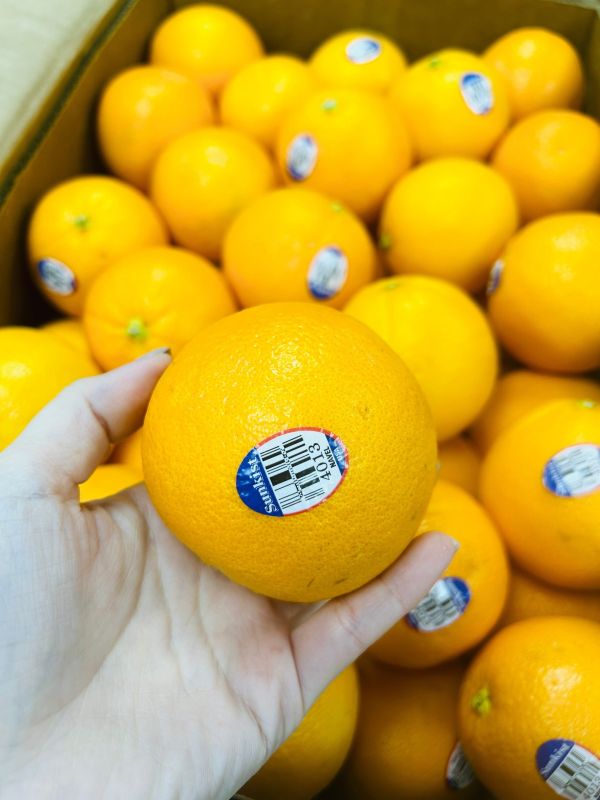 <少量零購>美國無籽超多汁肚臍橙 