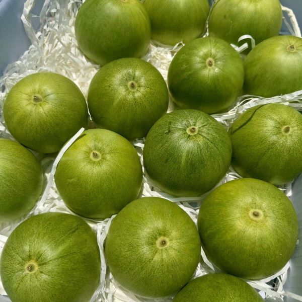 脆甜多汁【翠妞甜瓜】 