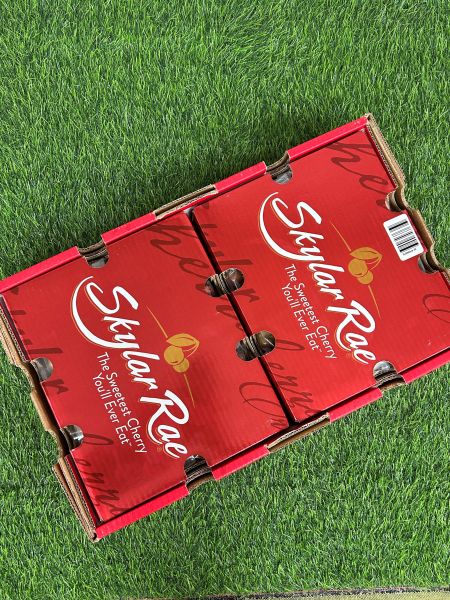 【限量稀有】智利草莓白櫻桃 