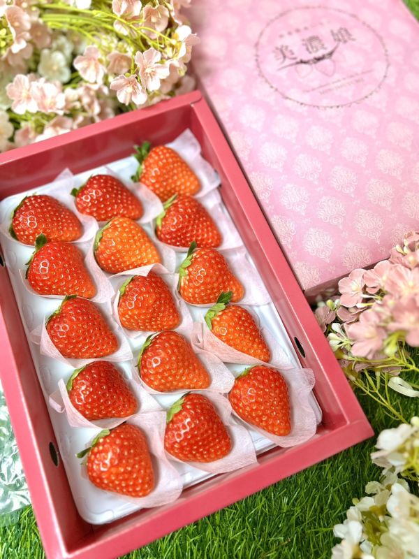 日本岐阜美濃娘 