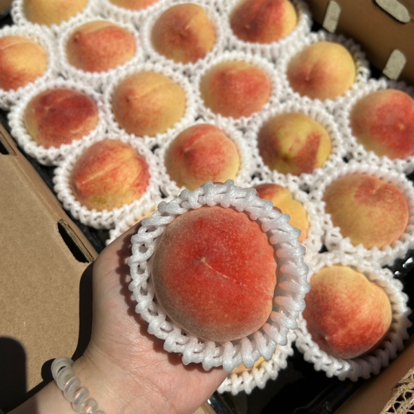 <少量零購>加州壽康水蜜桃 