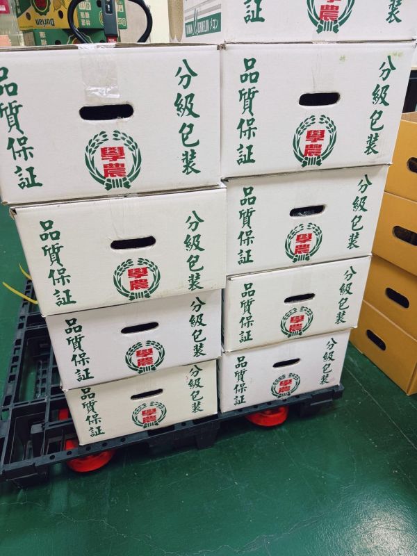 佩洛斯紅肉哈密瓜 