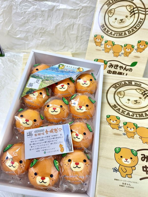 <當日配送>【限量特價】愛媛卡通蜜柑禮盒 