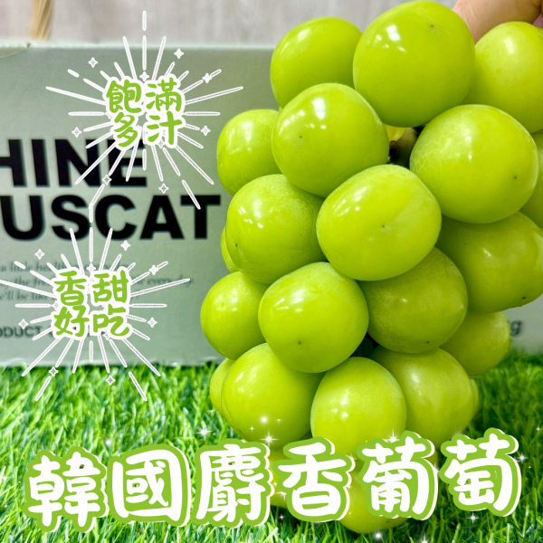 韓國麝香葡萄 