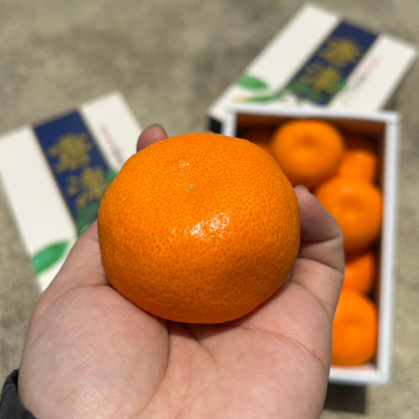 就柑心~日本唐津蜜柑禮盒 
