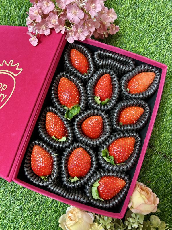 奈良【古都姬】精裝絨盒 