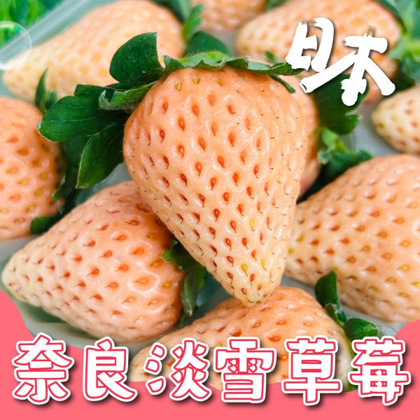 日本奈良淡雪草莓 