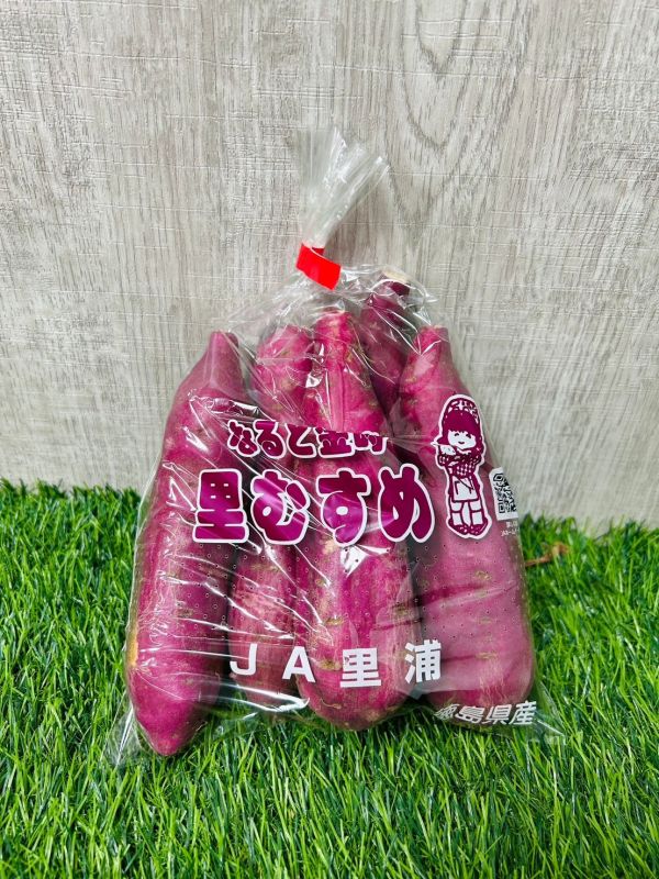 日本德島栗子地瓜 
