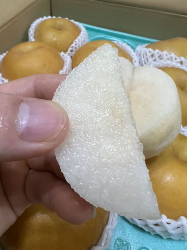 日本長野信洲南水梨 