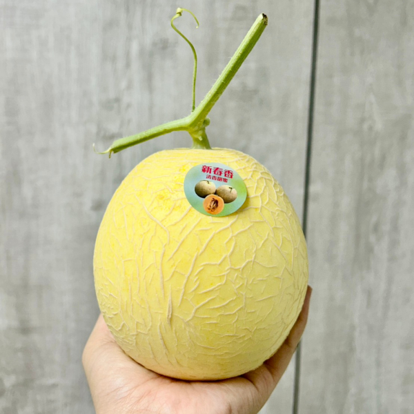 <少量零購>新春香橙紅瓜 