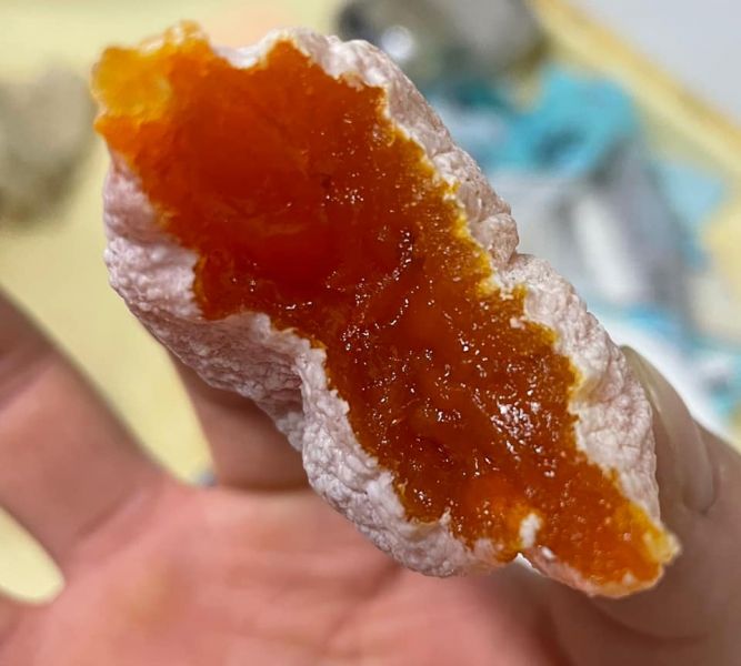 長野信州市田柿餅 