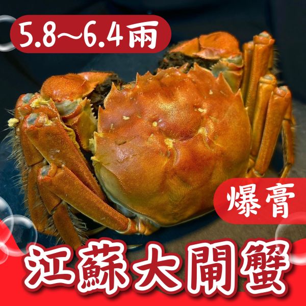 <2A巨無霸>江蘇大閘蟹【5.8~6.4兩】 