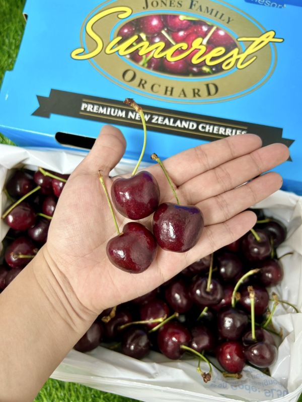 紐西蘭陽光櫻桃【30mm】 