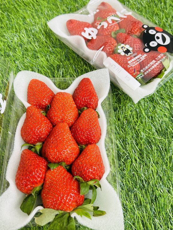 <少量零購>日本熊本草莓 