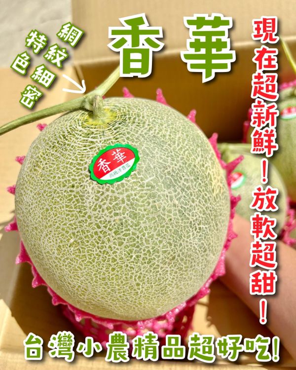 香華高級哈密瓜 