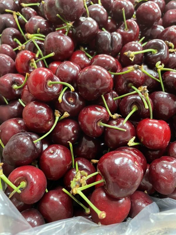 【9R】華盛頓櫻桃 