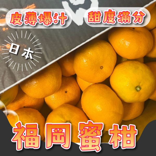 日本福岡蜜柑【黑箱】 