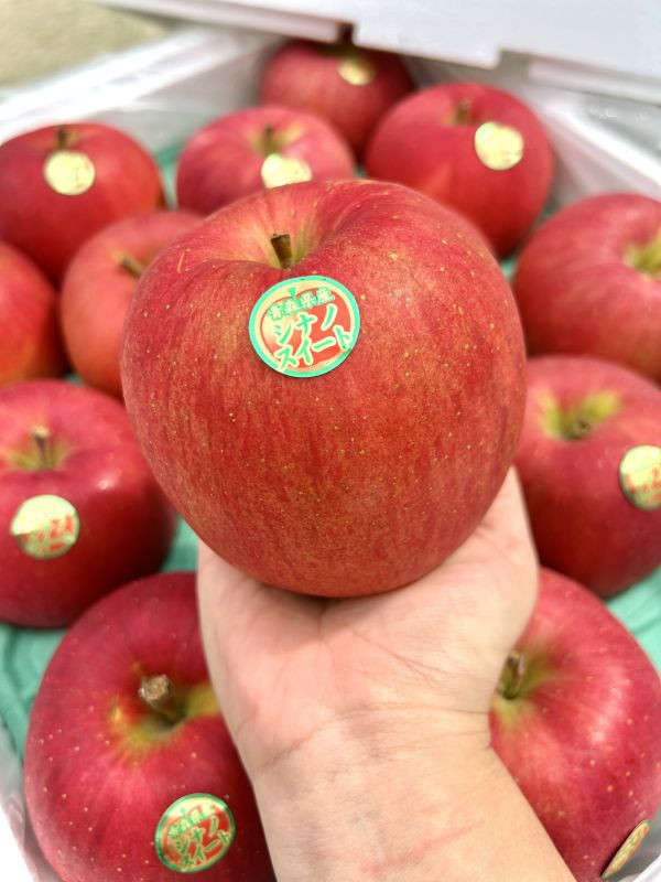 <少量零購>紅顏姬蘋果 
