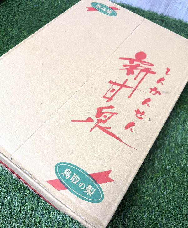 日本新甘泉水梨 