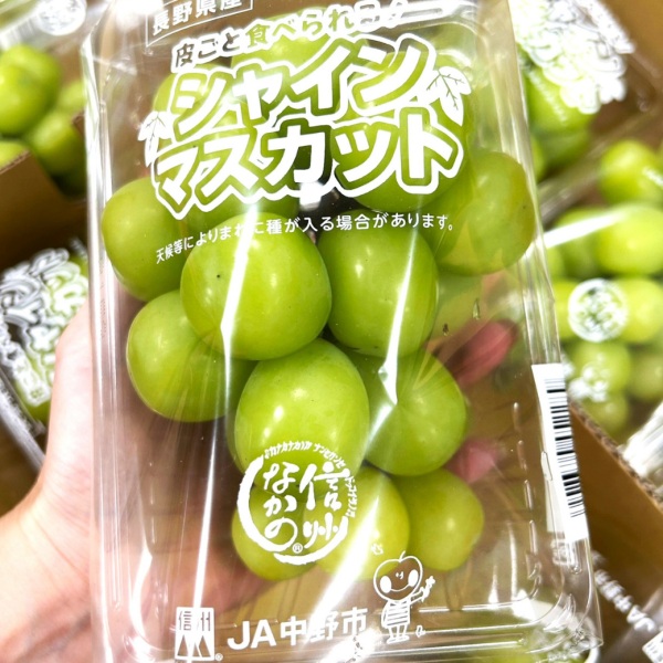 PC盒 長野麝香葡萄 