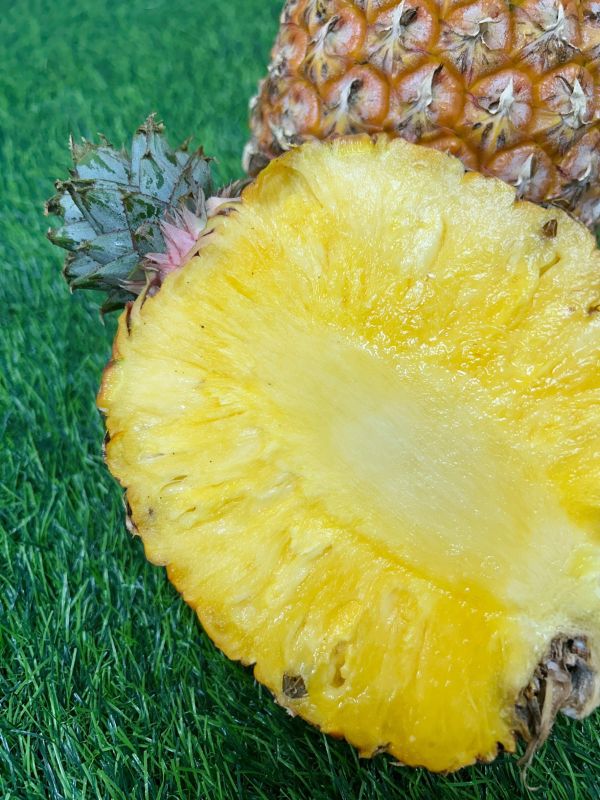 <少量零購>高甜度金鑽鳳梨 