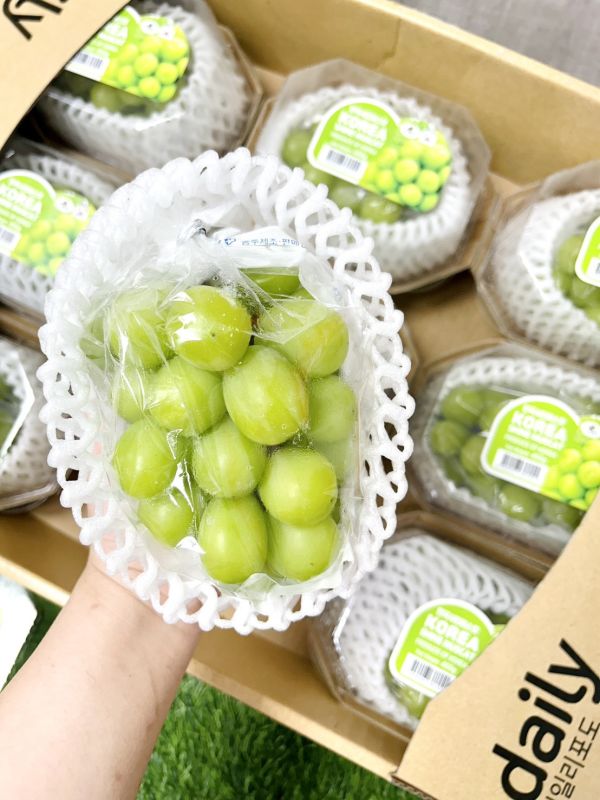 櫻桃+韓國麝香組 