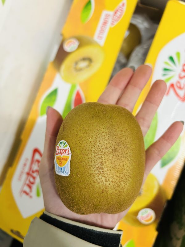 <少量零購>紐西蘭黃金奇異果 