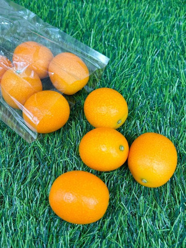 <少量零購>日本鹿兒島金桔 