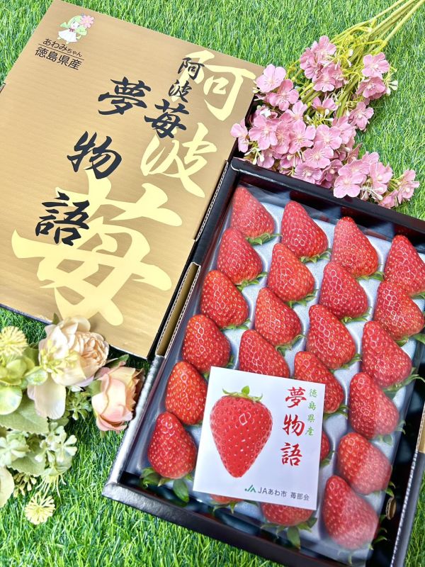 日本德島【阿波莓】夢物語 